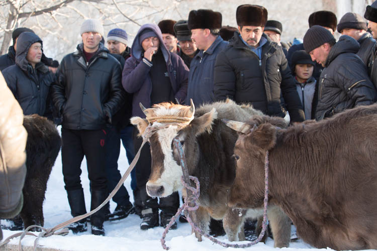Unique Things to do in Arslanbob, Kyrgyzstan during Winter