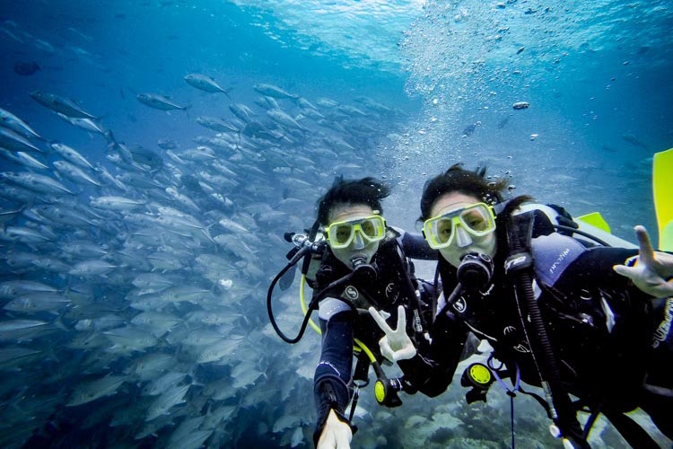 FAQ Guide to Diving In Sipadan and Beyond